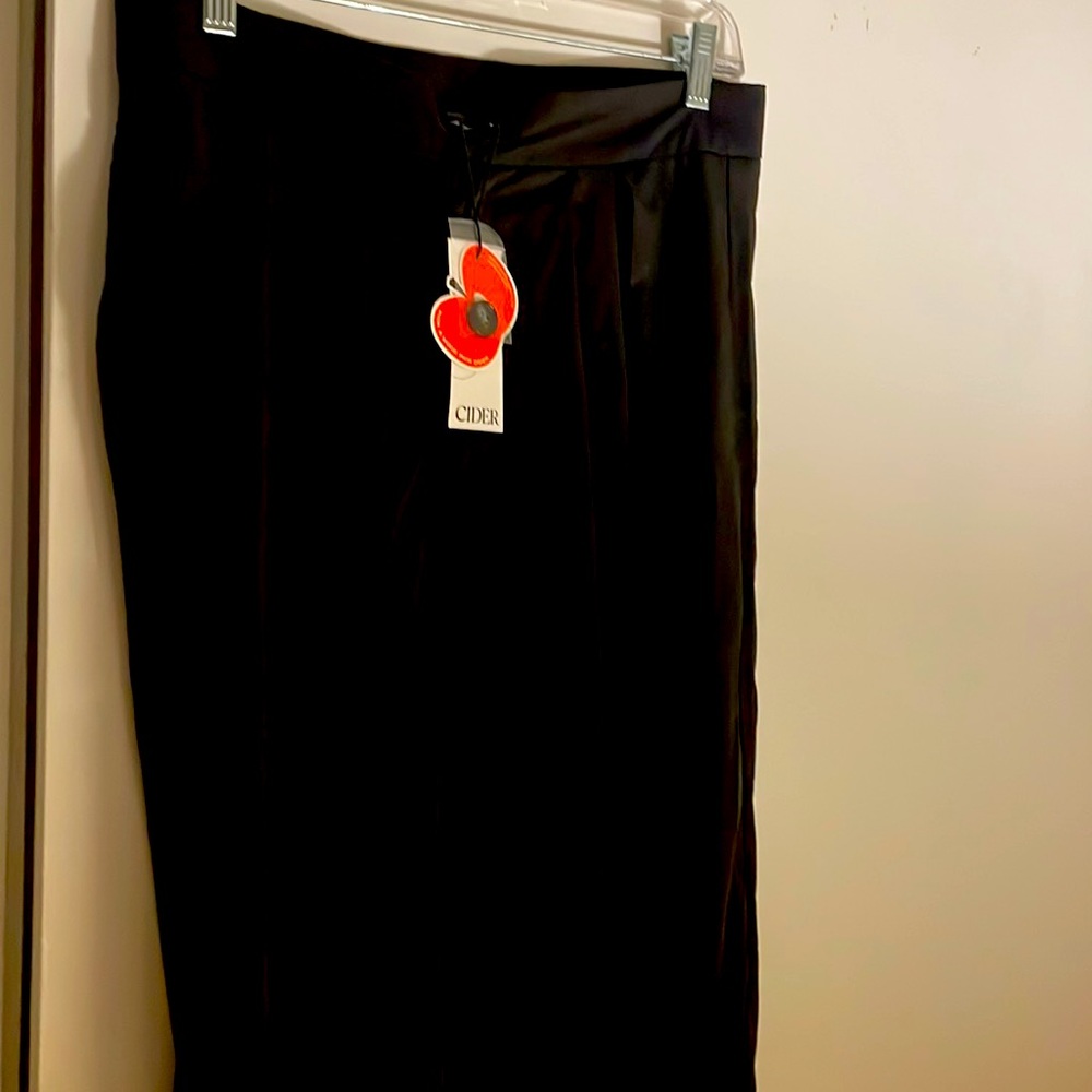 Cider Black Pleated Pants